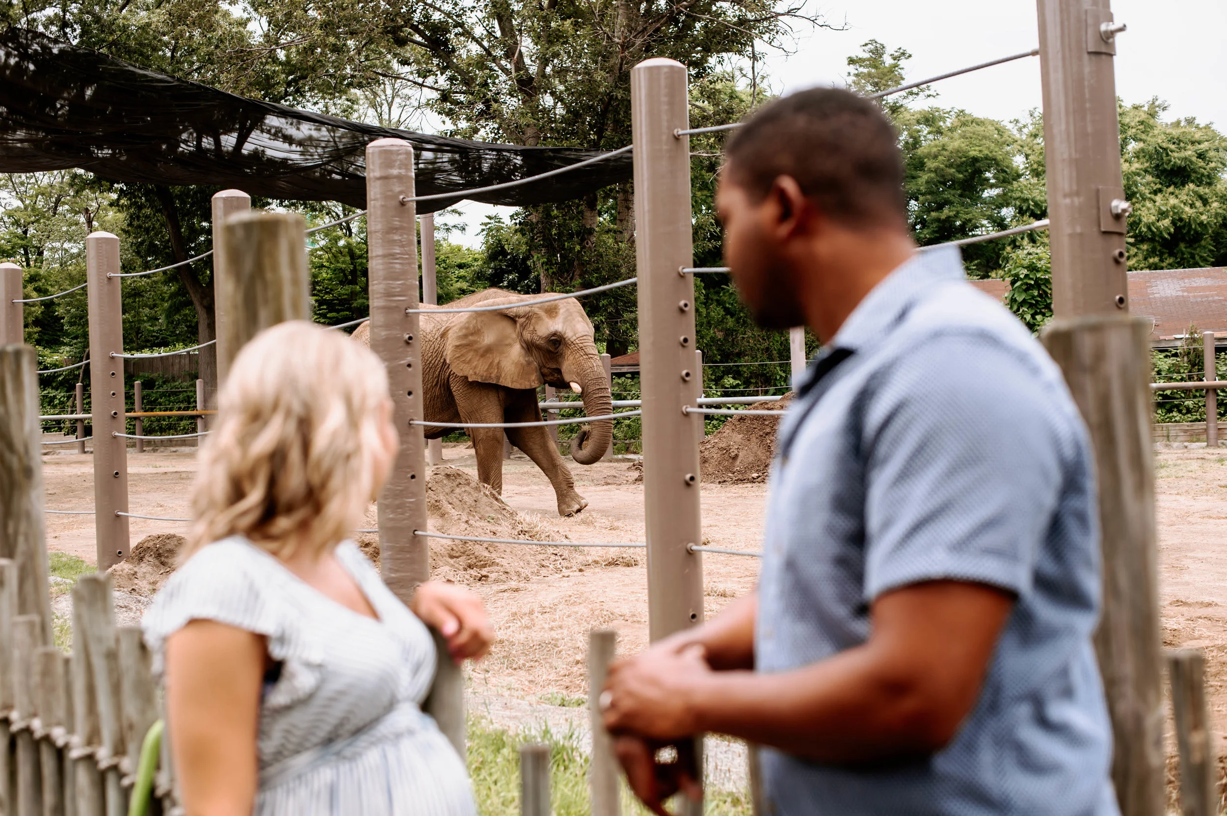 maternity session at the zoo-19.jpg