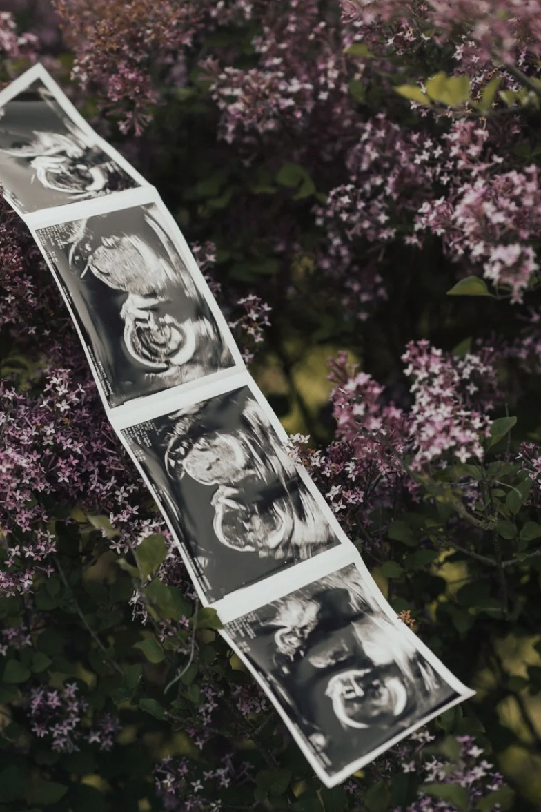 Screen Shot 2026-04-09 at 11.56.21 AM.png