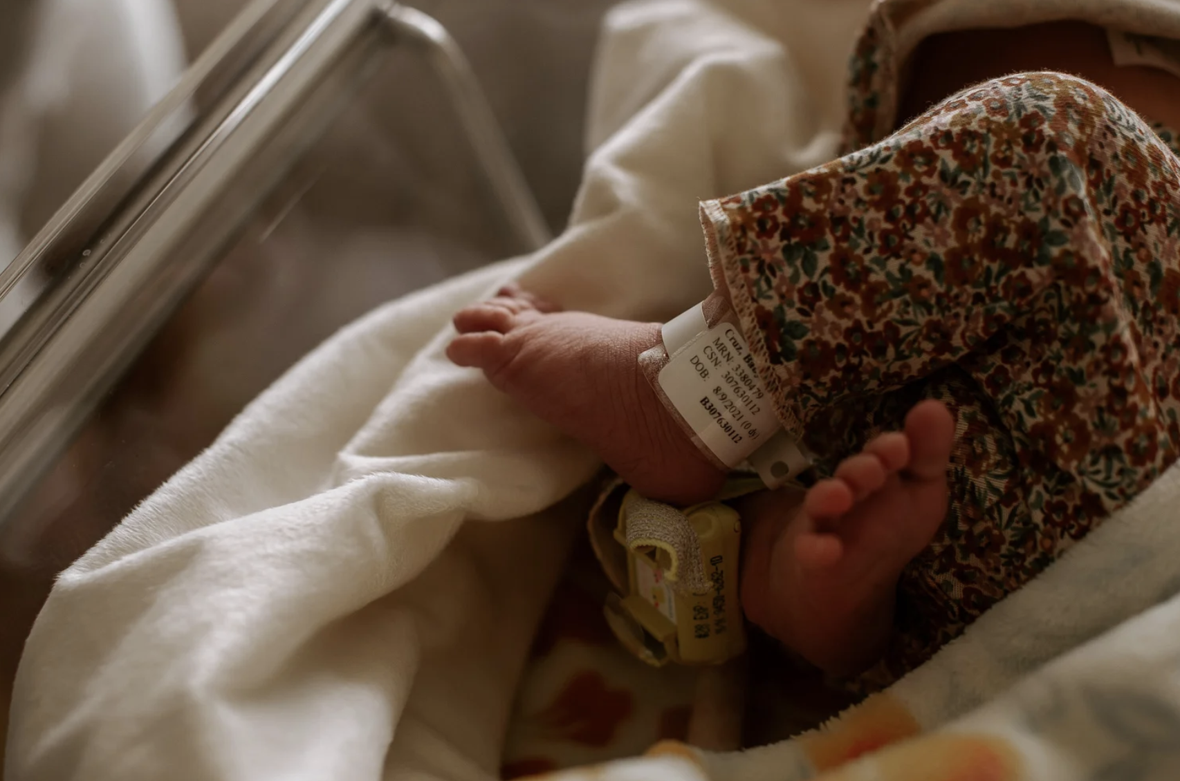 Screen Shot 2026-04-09 at 11.55.08 AM.png