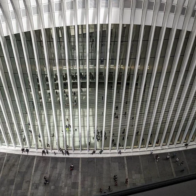 &quot;What is this? A center for ants?!&quot; #newofficenewviews