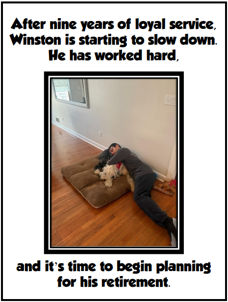 P9.png