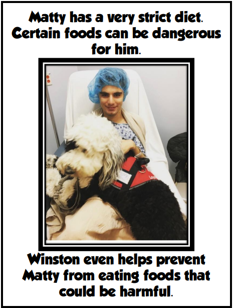 P8.png