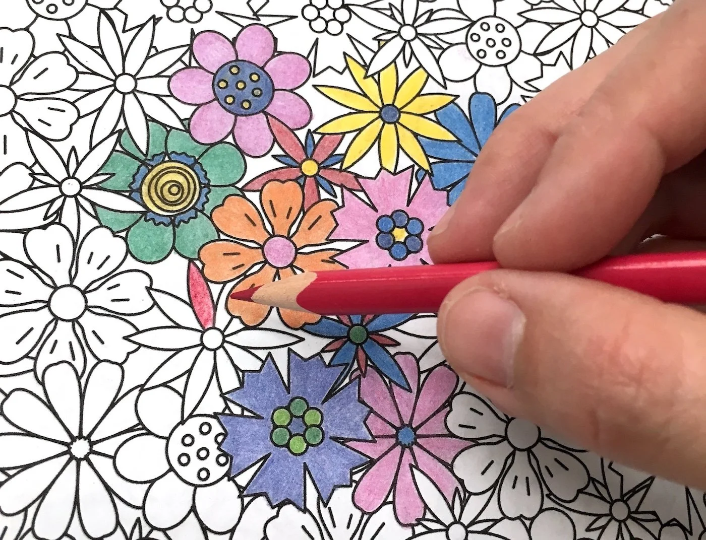 womans-hand-coloring-in-a-coloring-book-with-colored-pencils.jpg