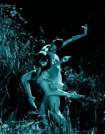 Migration, 2006; photo courtesy Christine Alicino