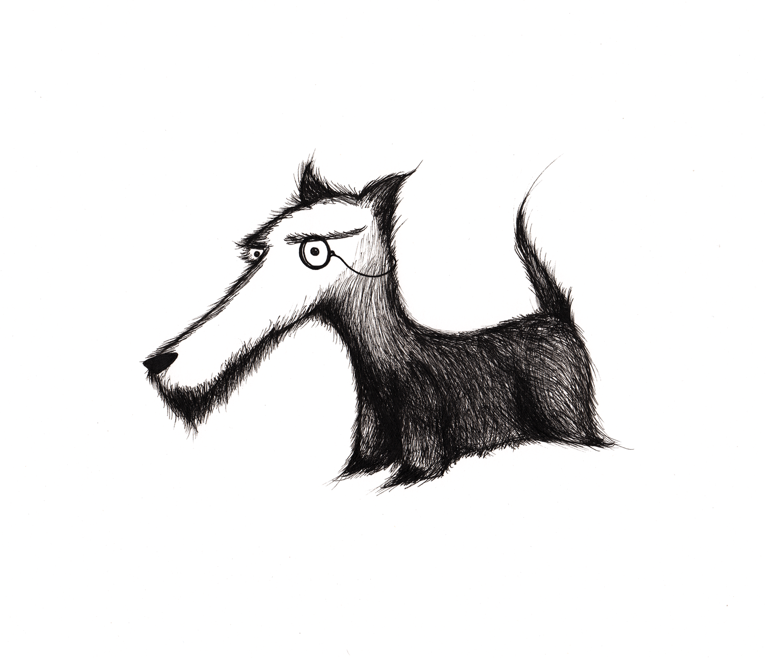 Dog+for+Portfolio.png