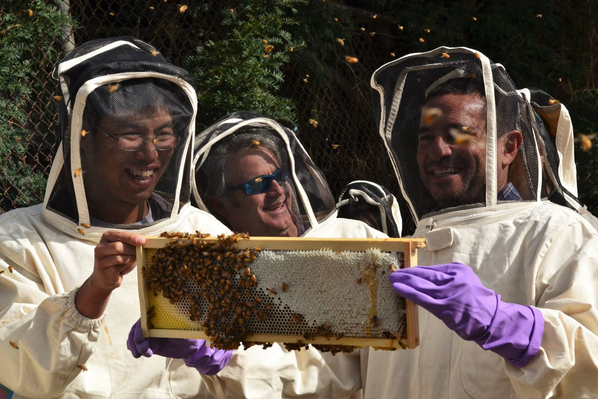 Spotlight on our Volunteers! — Bee Foundation