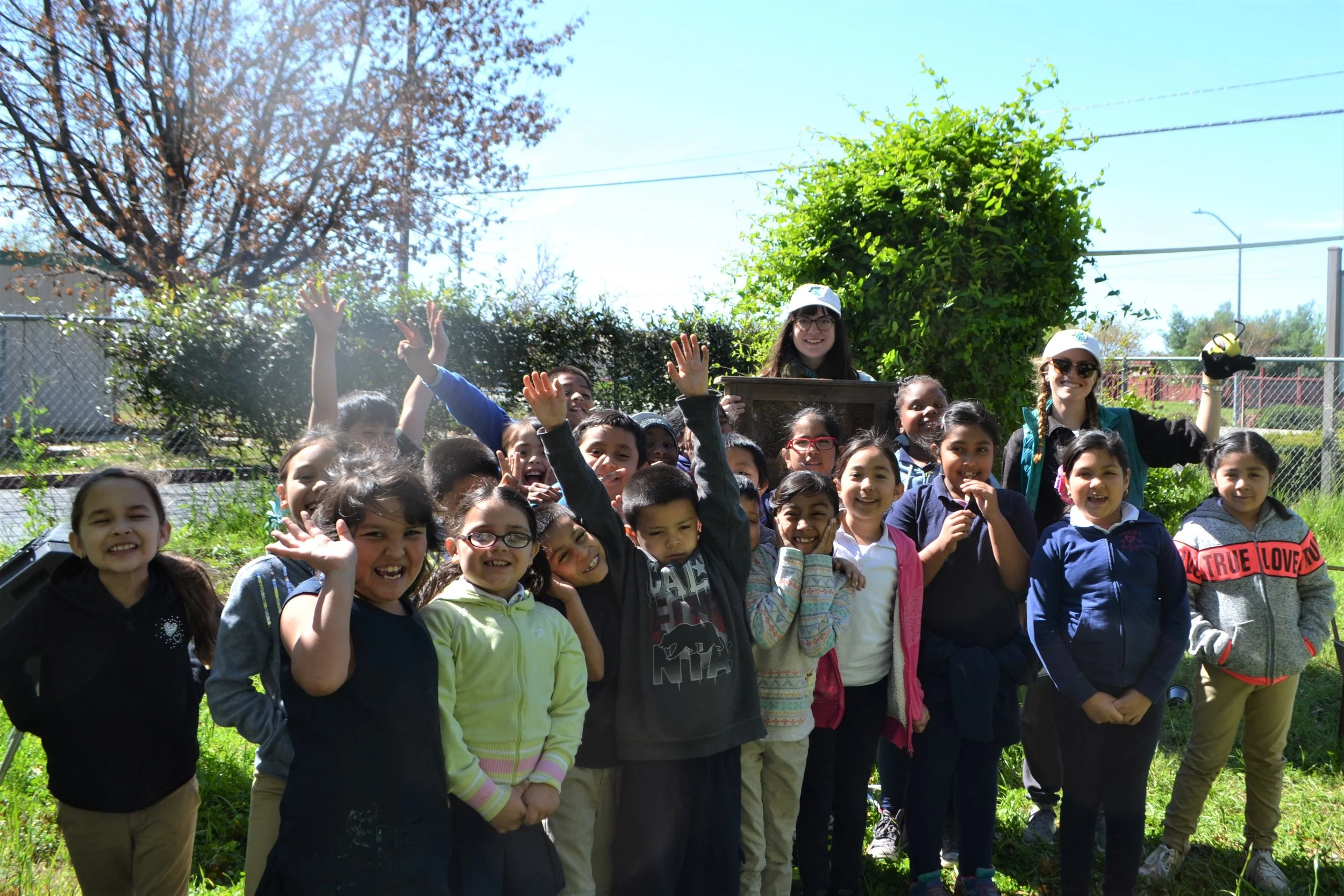 Partner Schools Planet Bee Foundation