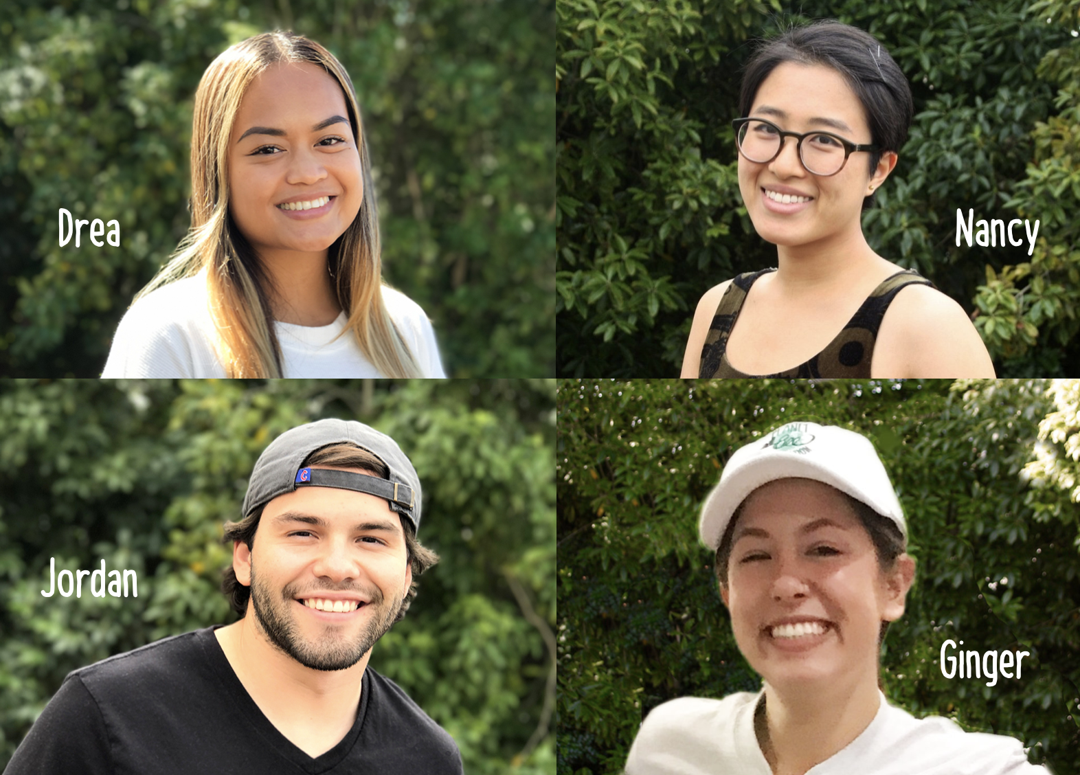 Fall 2017 interns