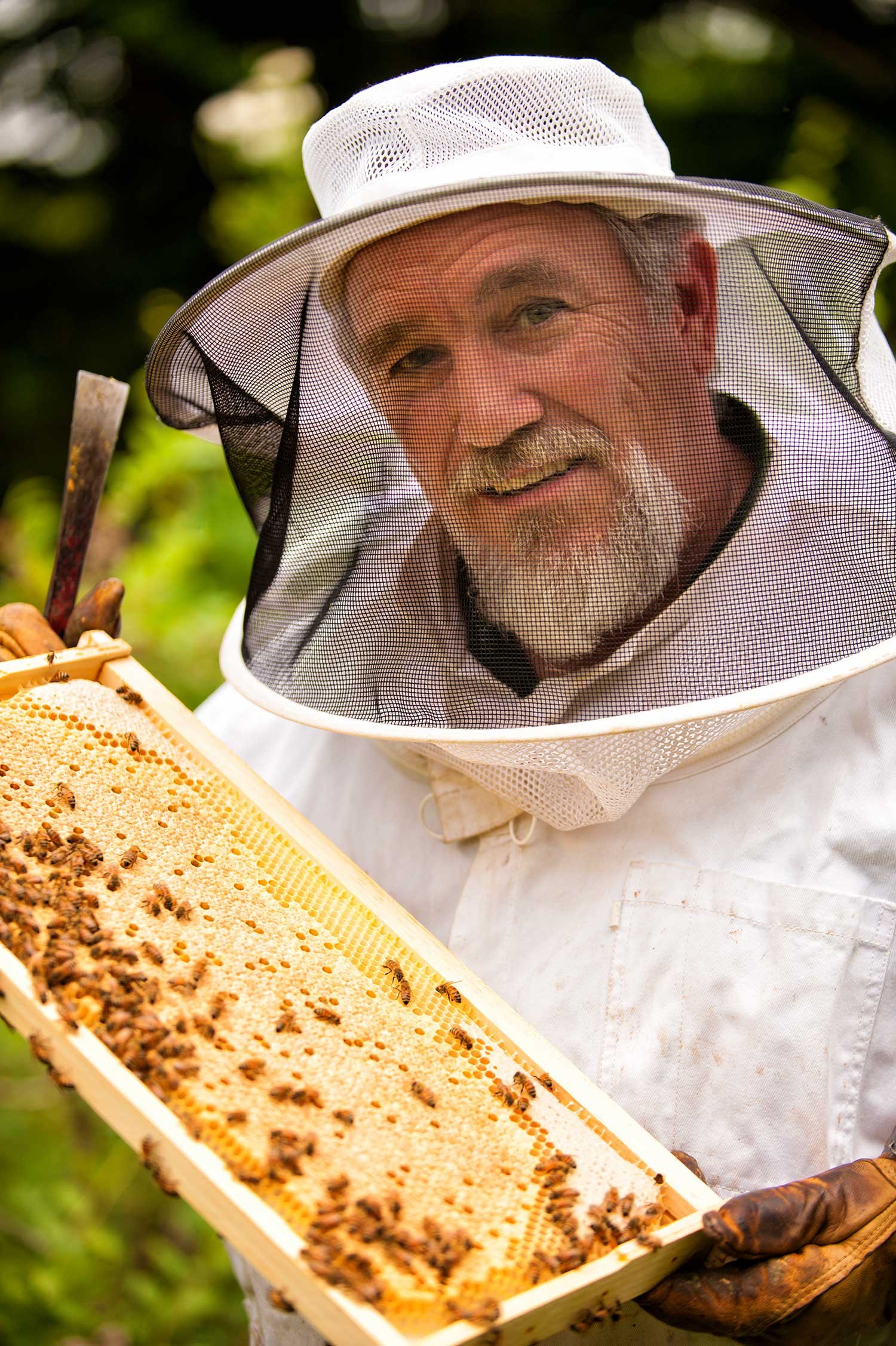 Veterans protect national food security by becoming beekeepers