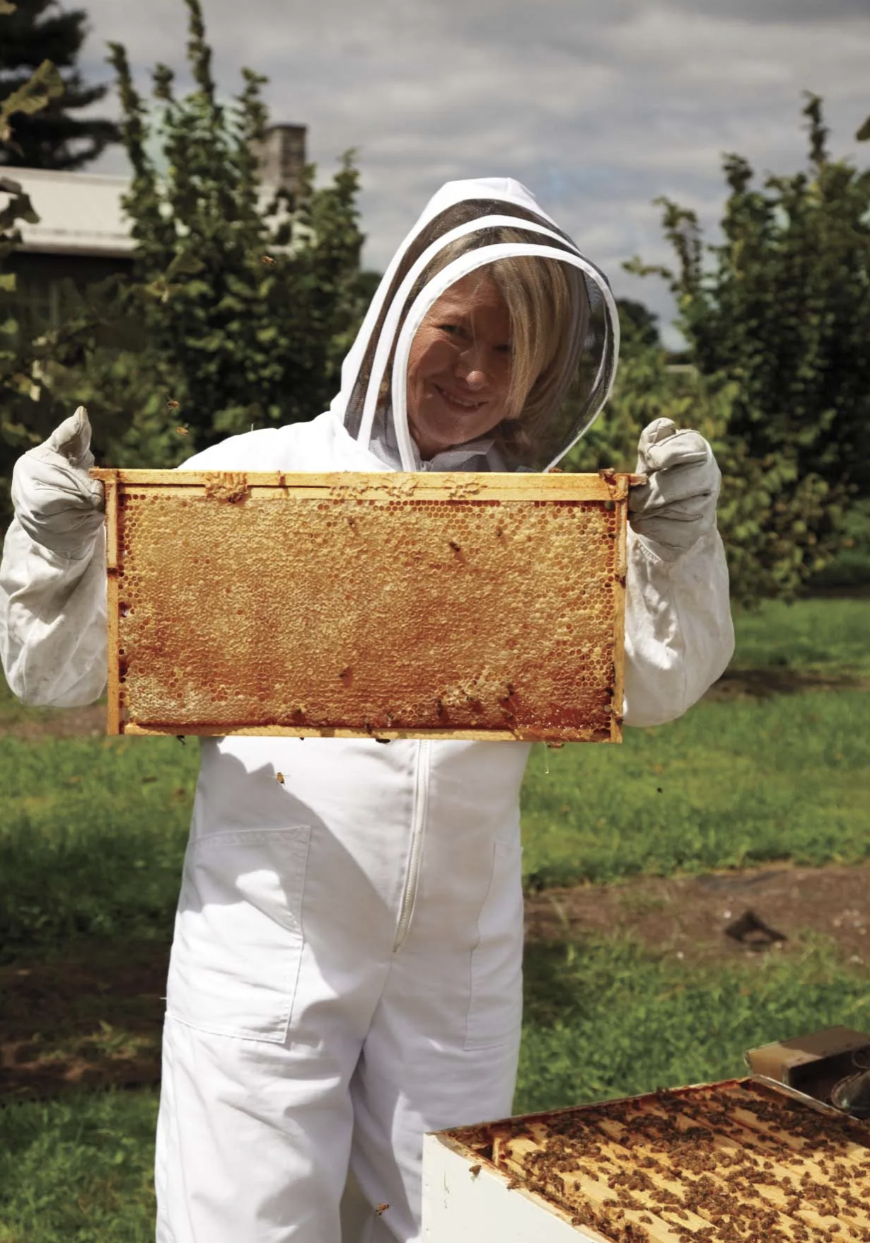 1 Pcs New Bee Tools Professional Beekeeping Manufacturer Beekeeping Tool Plloen 
