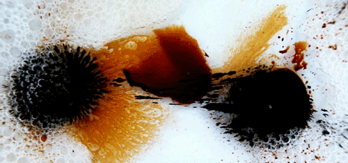 Movement 3, Allegro – Metabolic