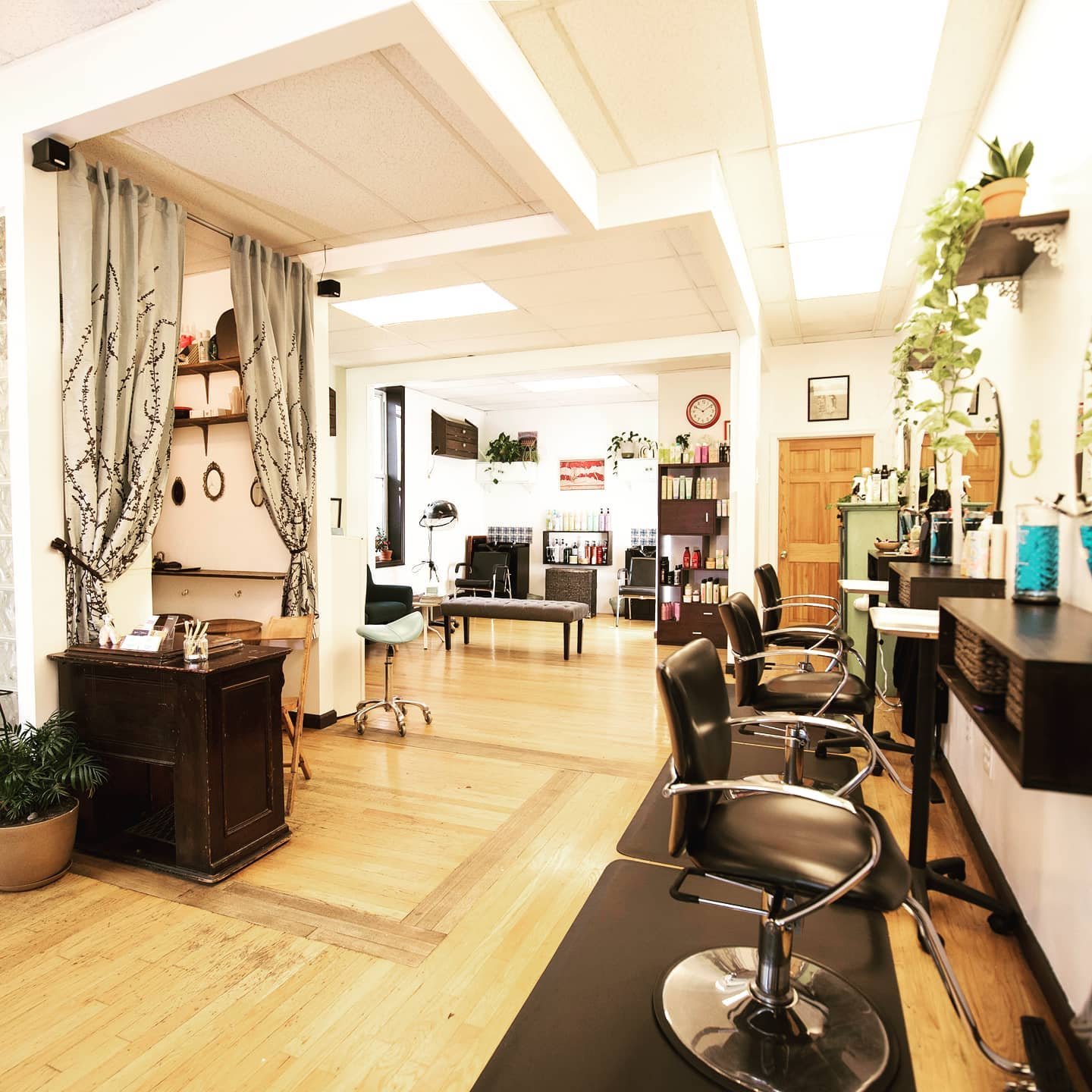 Dear Pelo Family,

I hope you all are safe and healthy during this crazy time. As many of you know Pelo stopped serving a full week before the official state closure of Salon services because we felt that was the safest choice for all. We fully plan 
