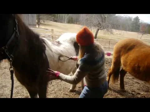 "Beaming Live from the Stix" A Dramatic Video from 11th Hour Radio