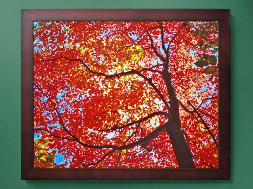 03-Forest_Fire (1).jpg