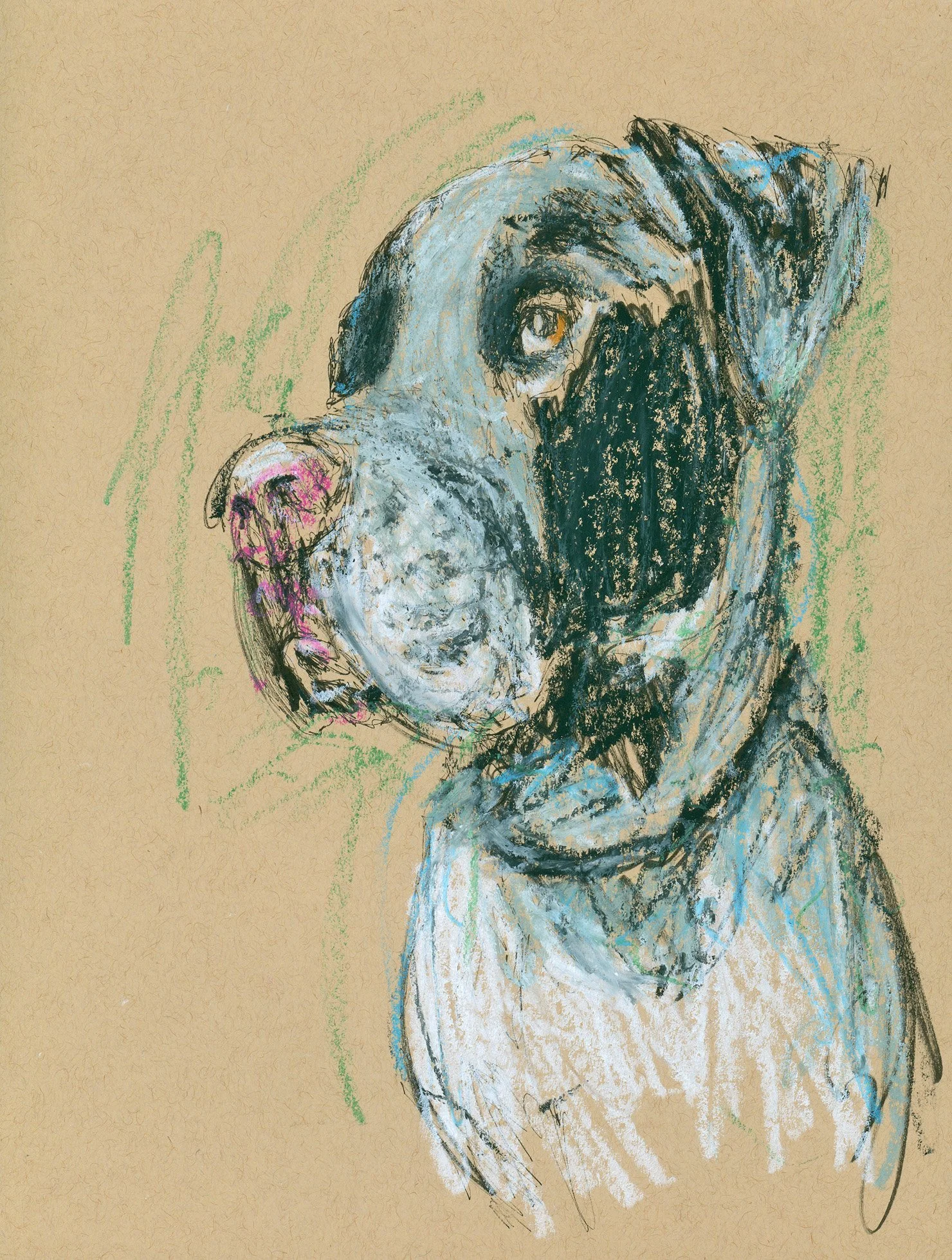 animal-portraits-oil-pastels-graphic-pen-ink-illustration-drawing-humanity-micron-original-artwork (8).jpg