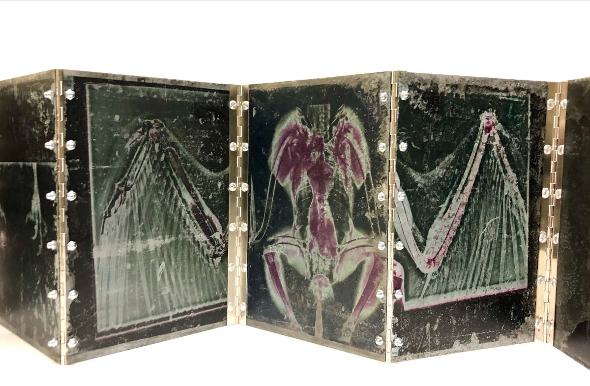 Sandra Talbot, Book of Falling Angels , May 2019, digital images on galvanized steel, charcoal and steel hardware