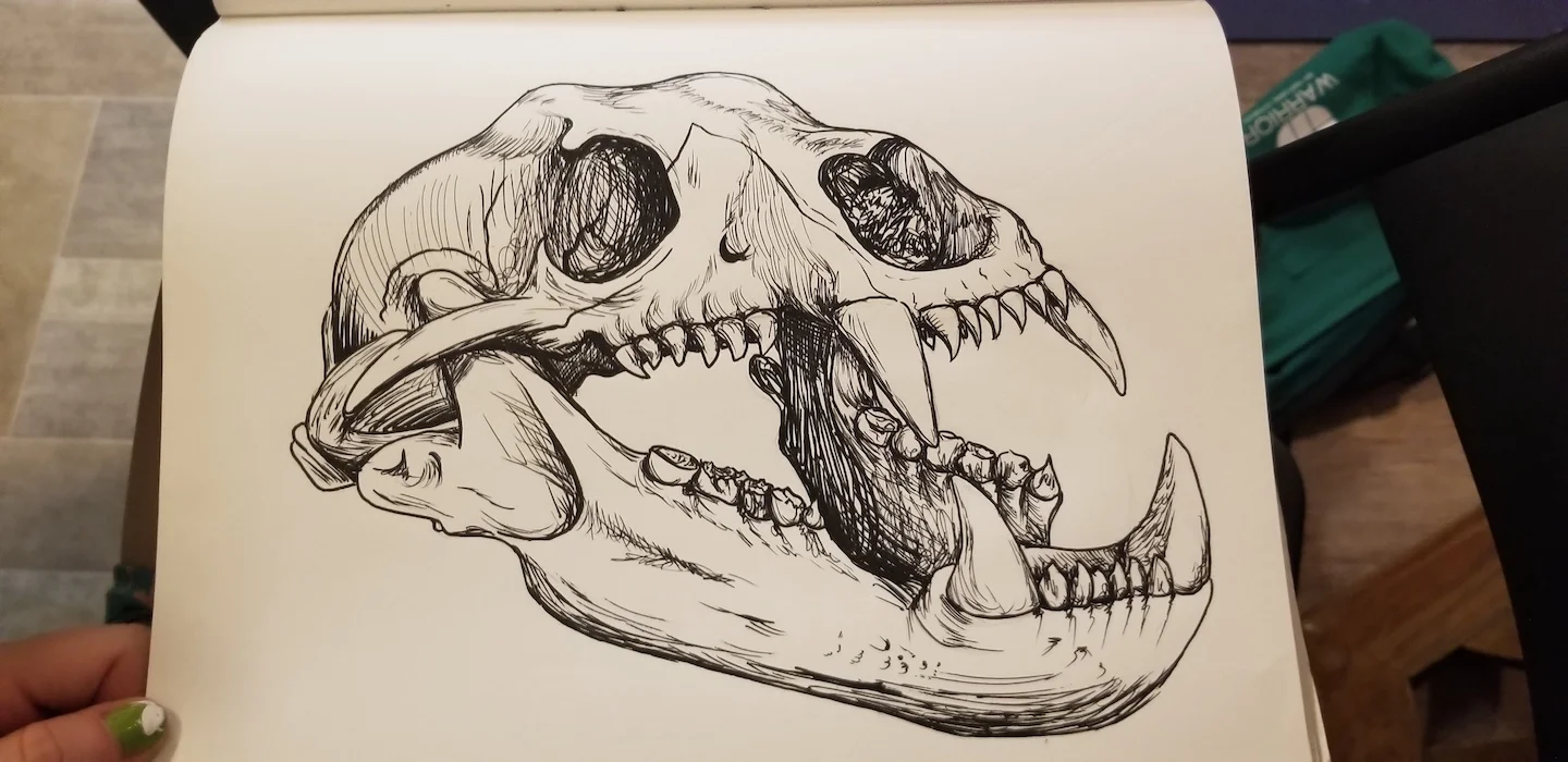 Chelsea Codd "Bear skull"