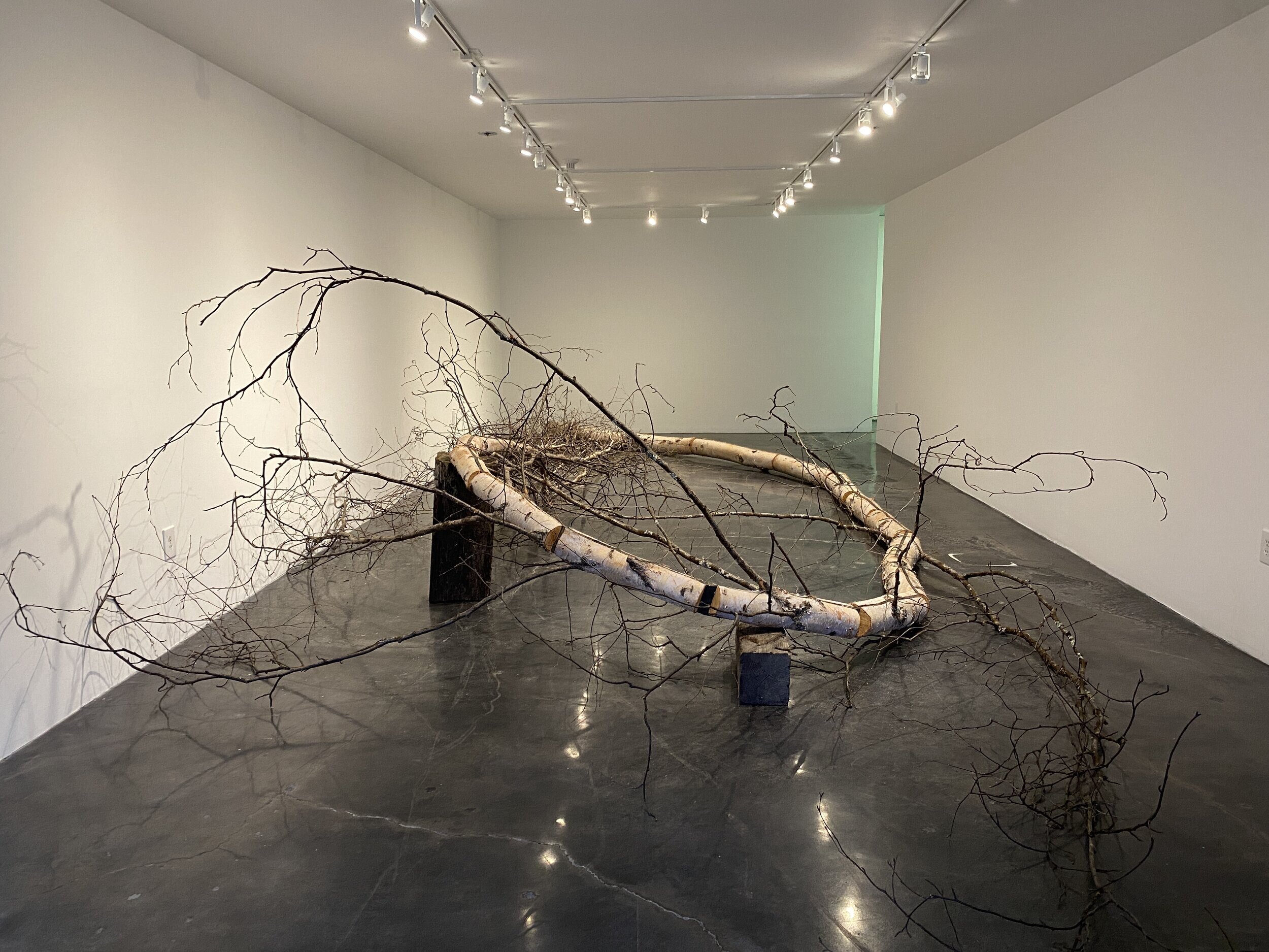  October 2020 - Center Gallery -  Borean Lines  - David Hansen 