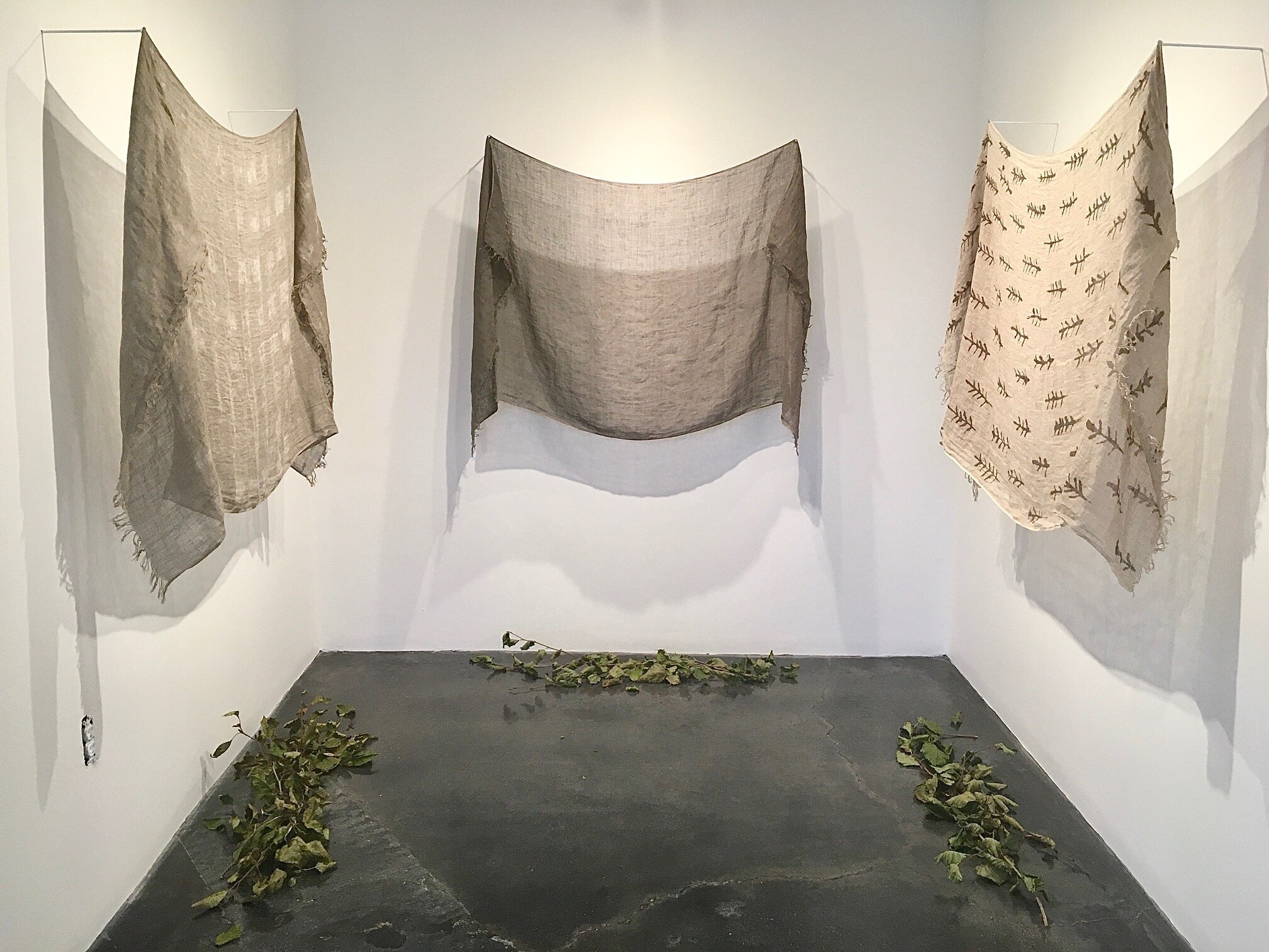  October 2020 - South Gallery -  Alder Studies -  Elissa Pettibone 