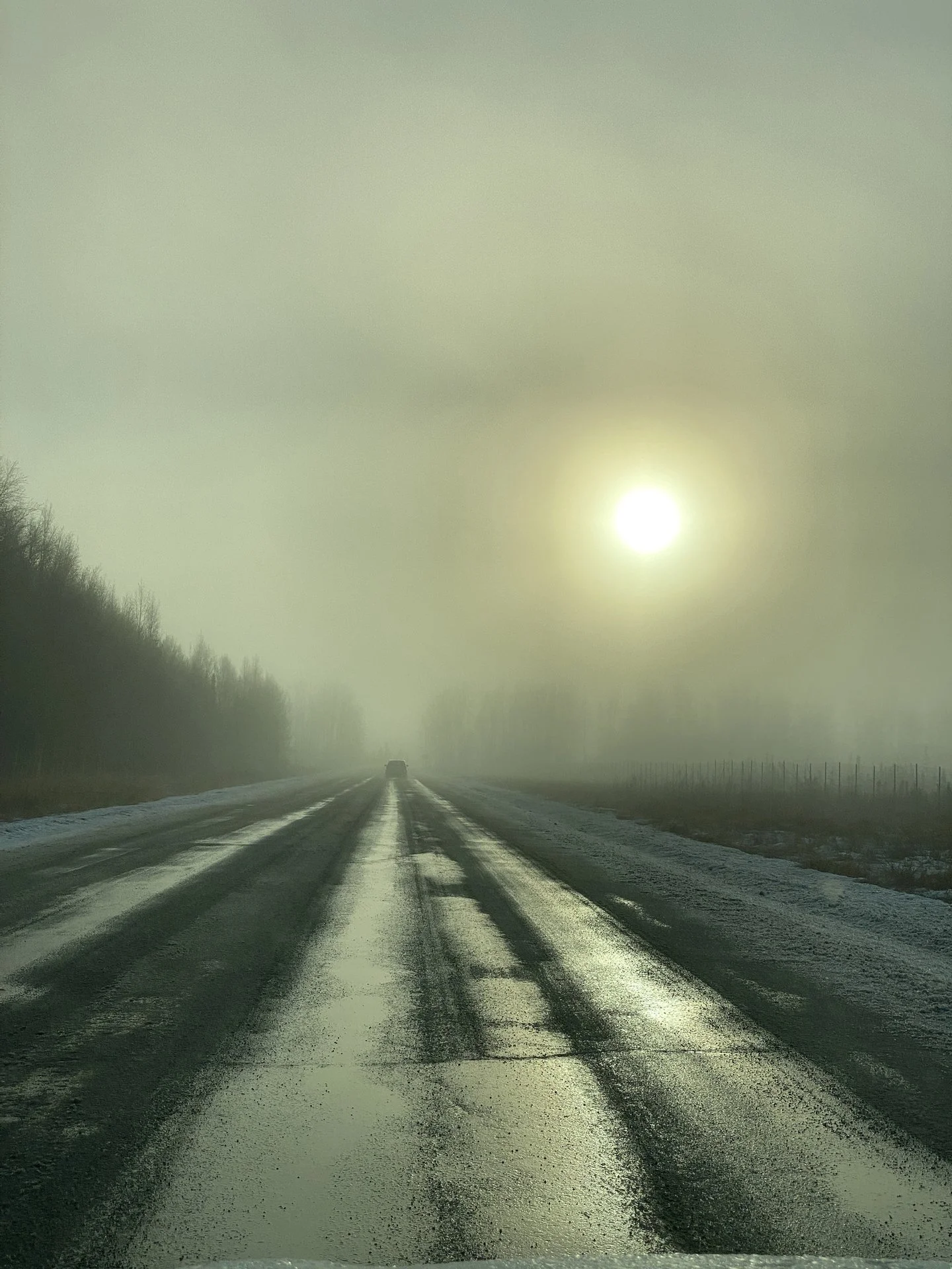 Hansen_000026_671964_517985_17169.jpg