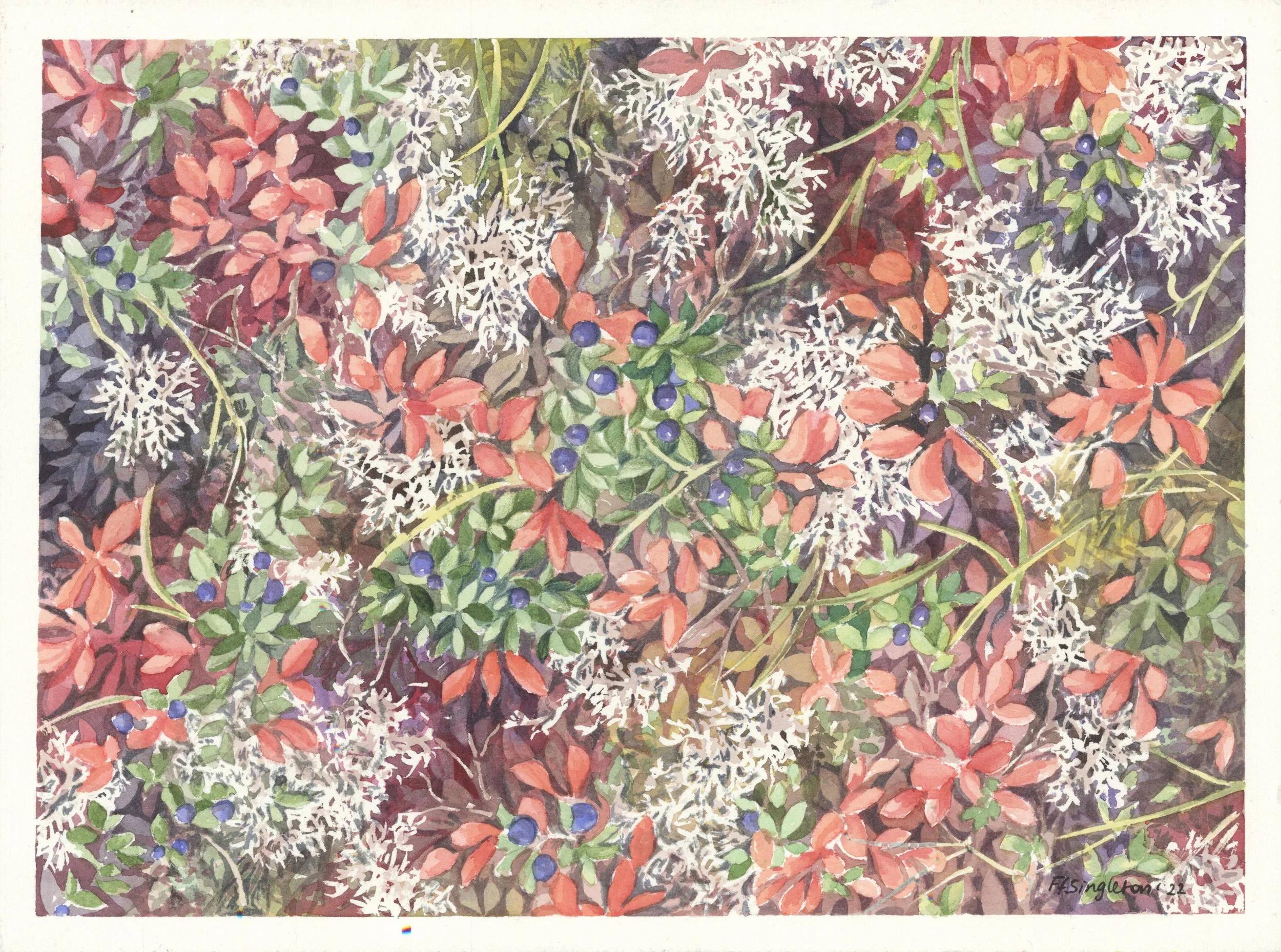 FFS Tundra Tapestry .jpeg