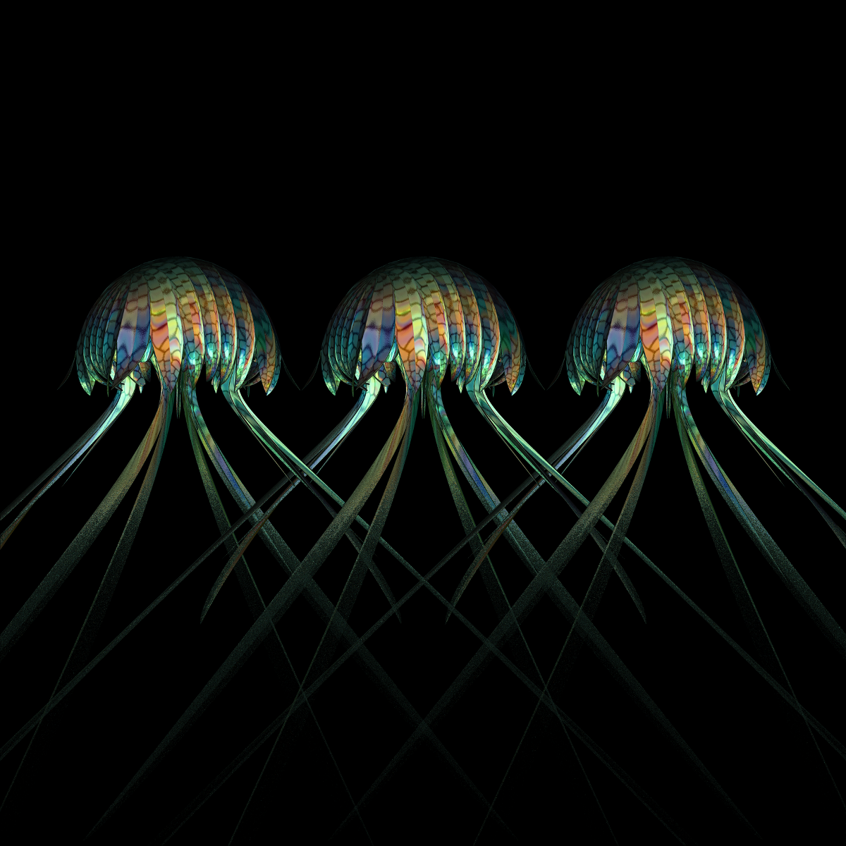 Cnidarians+3x3+No+3.png