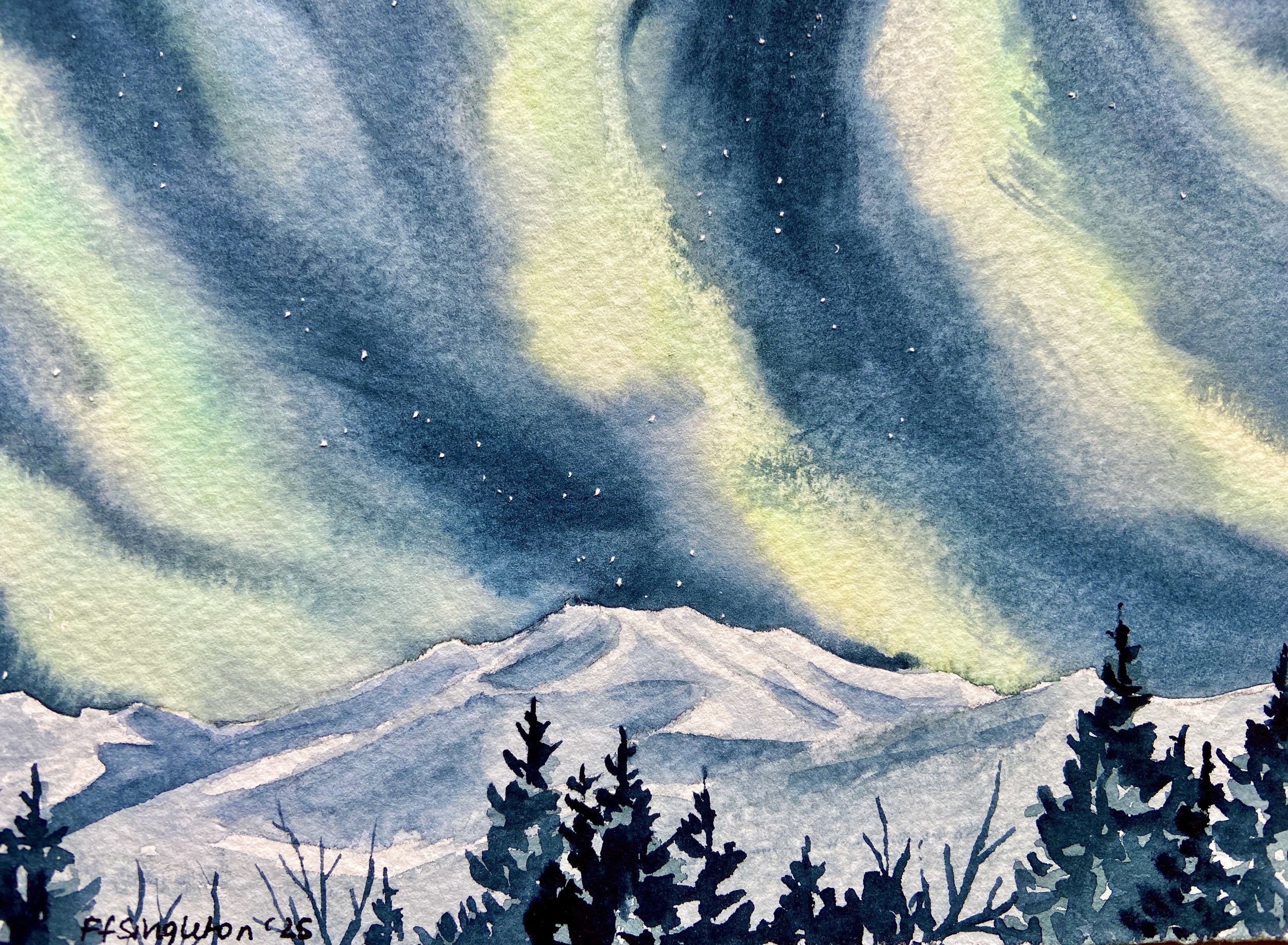 FFS _Northeern Lights.JPG