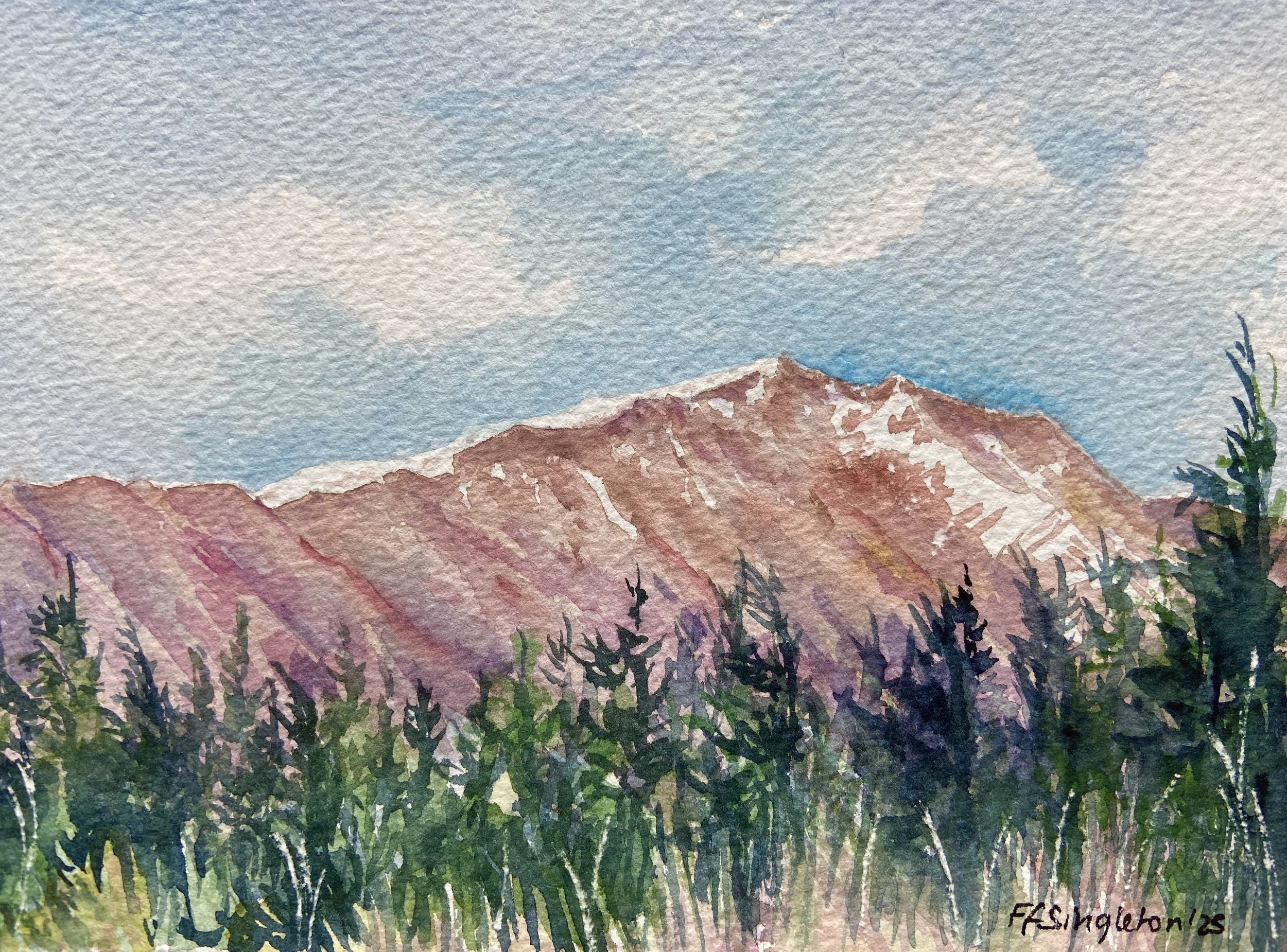 FFS_Red Mountain.JPG