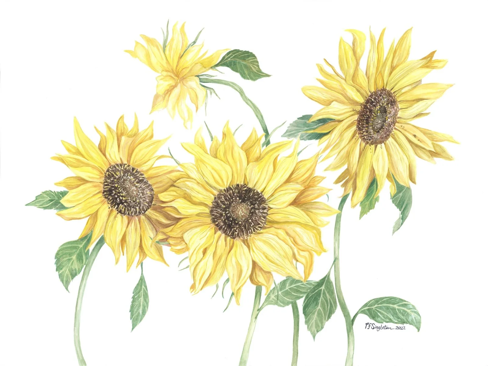 FFS - In Spite of the Rain.jpeg