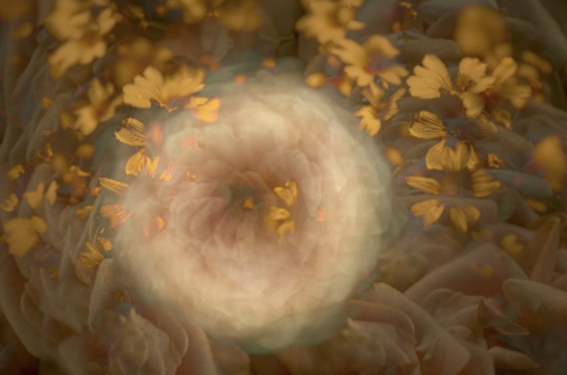 Screenshot 2025-10-03 at 8.37.16 AM.png