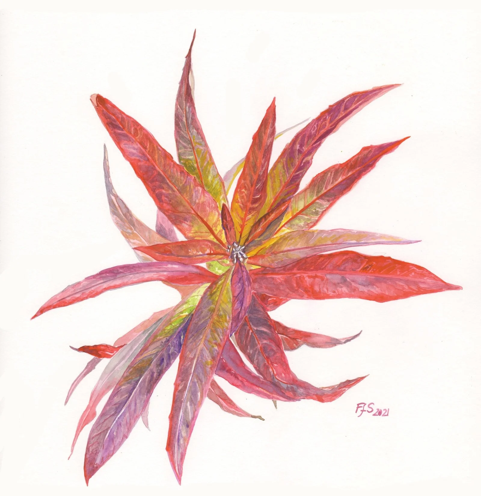 FfS - Fall Flames.jpeg