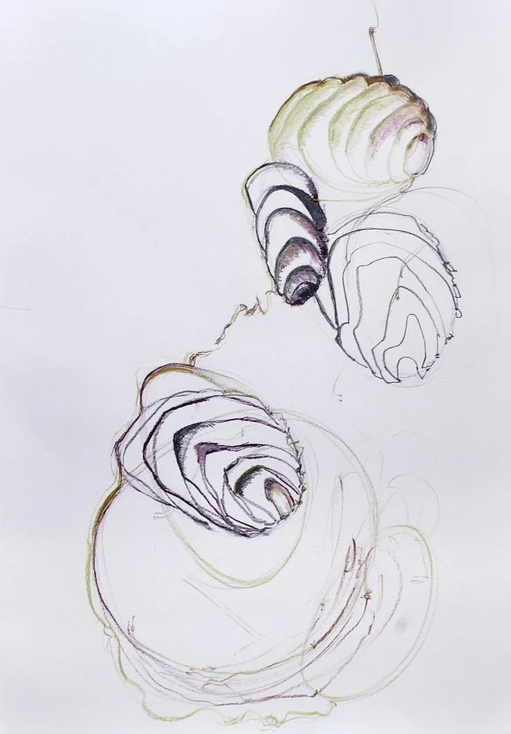 Untitled Drawing 2.jpeg