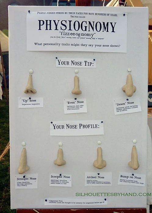 The "Physiognomy noses" display was handmade by Lauren Muney to help visitors spot their own nose traits.