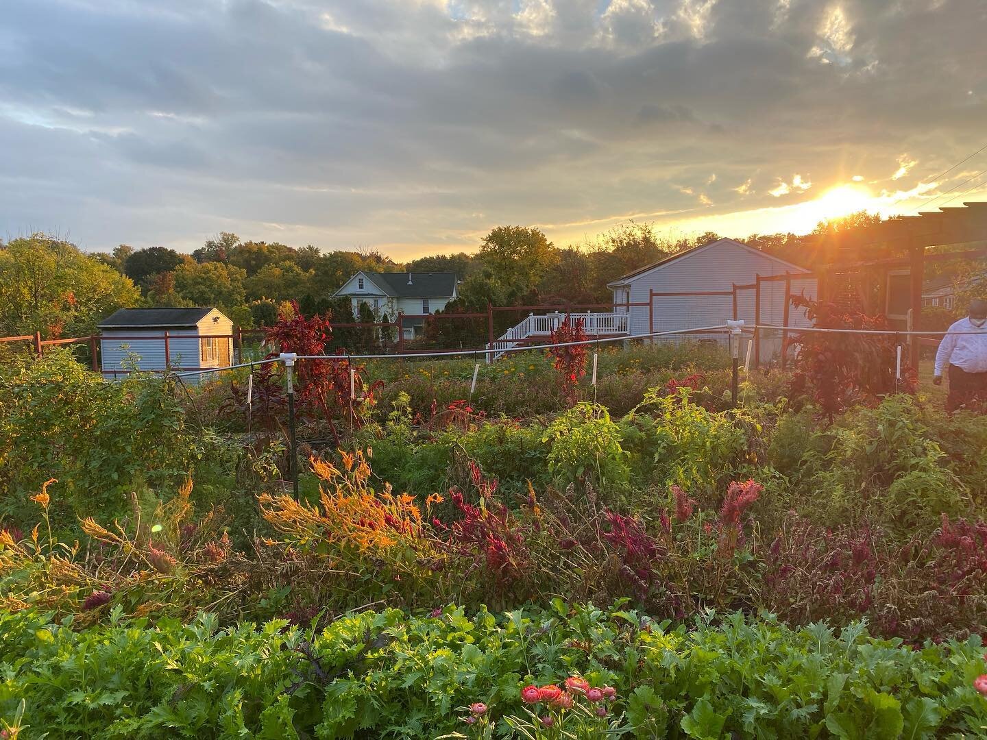 #nofilter at Backyard Basecamp (@backyard_basecamp) urban farm and education center in Baltimore, MD USA. I'm just a humble volunteer... the real stars are @naturalistnurse, @sajthefarmer , @godswerepoetsonce , @annahopecoaching , and all the others 