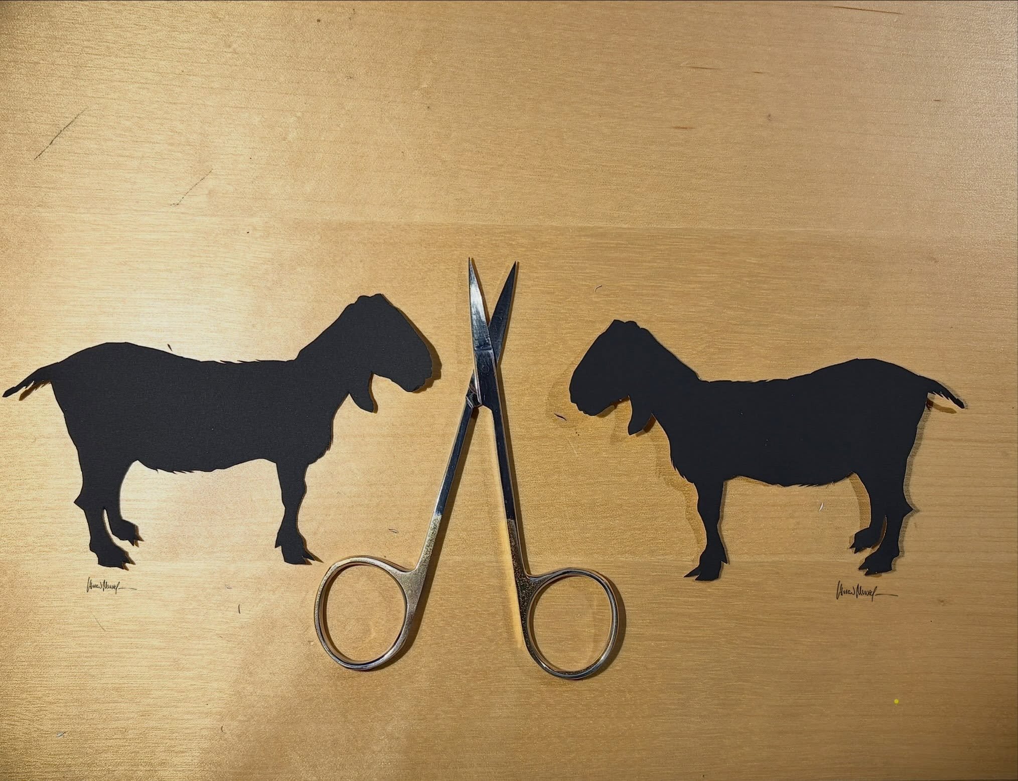 My friend orders memory silhouettes when her dear farm animals pass. This is Marjorie the Goat. 
.
Majorie will be framed when my backordered frames arrive. Marjorie will join her other departed farm family on the walls of the Tennessee farmhouse. ❤️