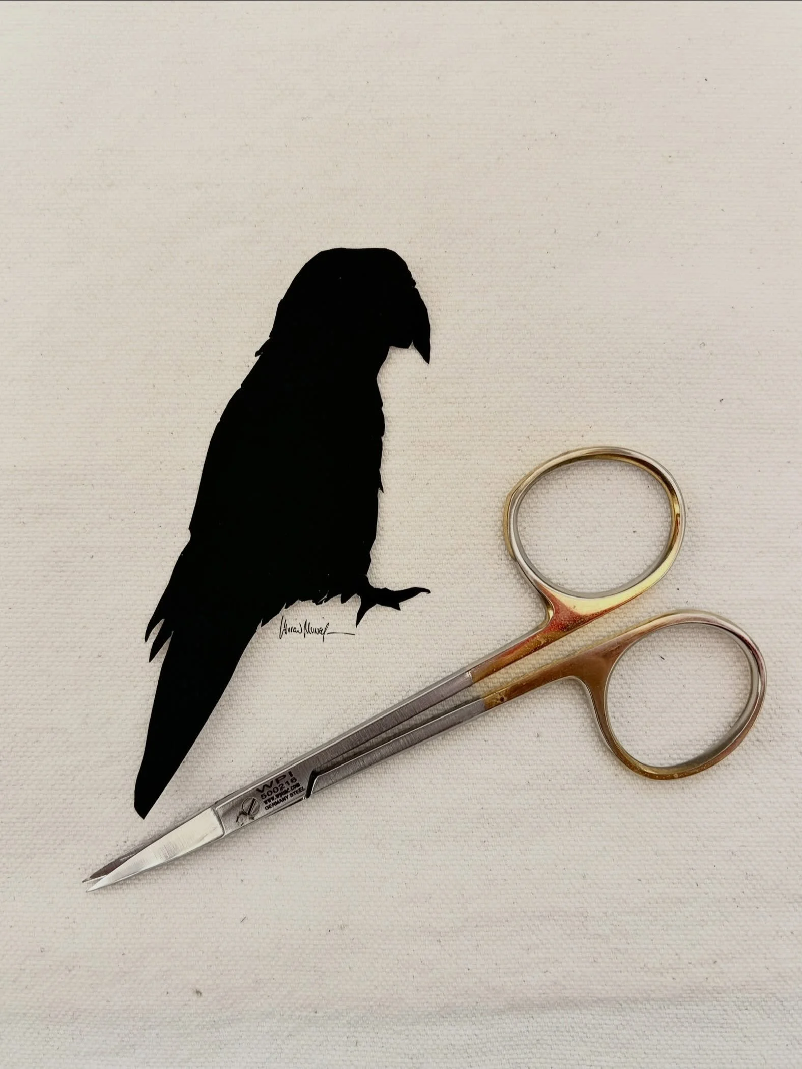 A few sneak peaks of silhouettes that I cut during my Guest Artist weekends at the @mdrennfest &mdash; sadly, my brief residency has ended, but I look forward to meeting more faces. And I&rsquo;ll do a few more posts regarding some of the curious sil