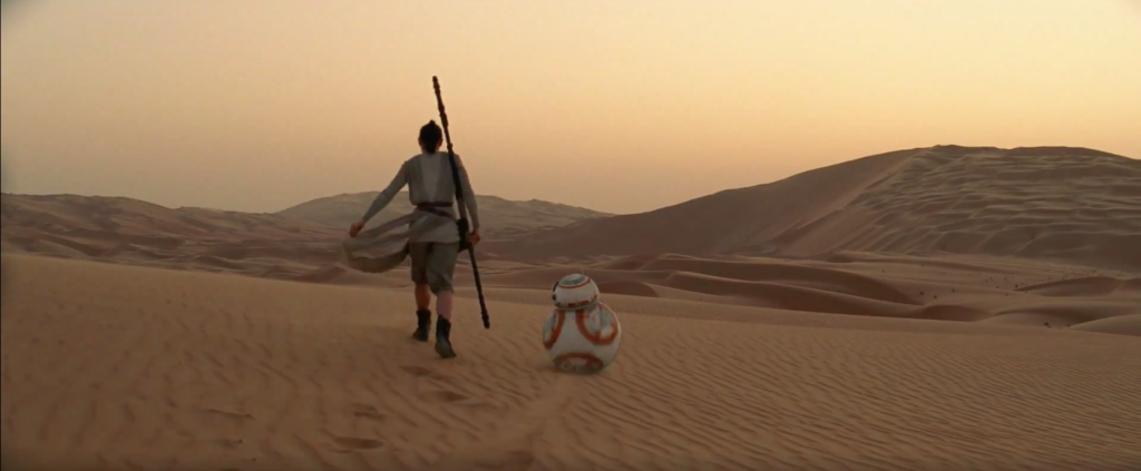 Image 05 - Just Going for a Quick Stroll... In the Desert