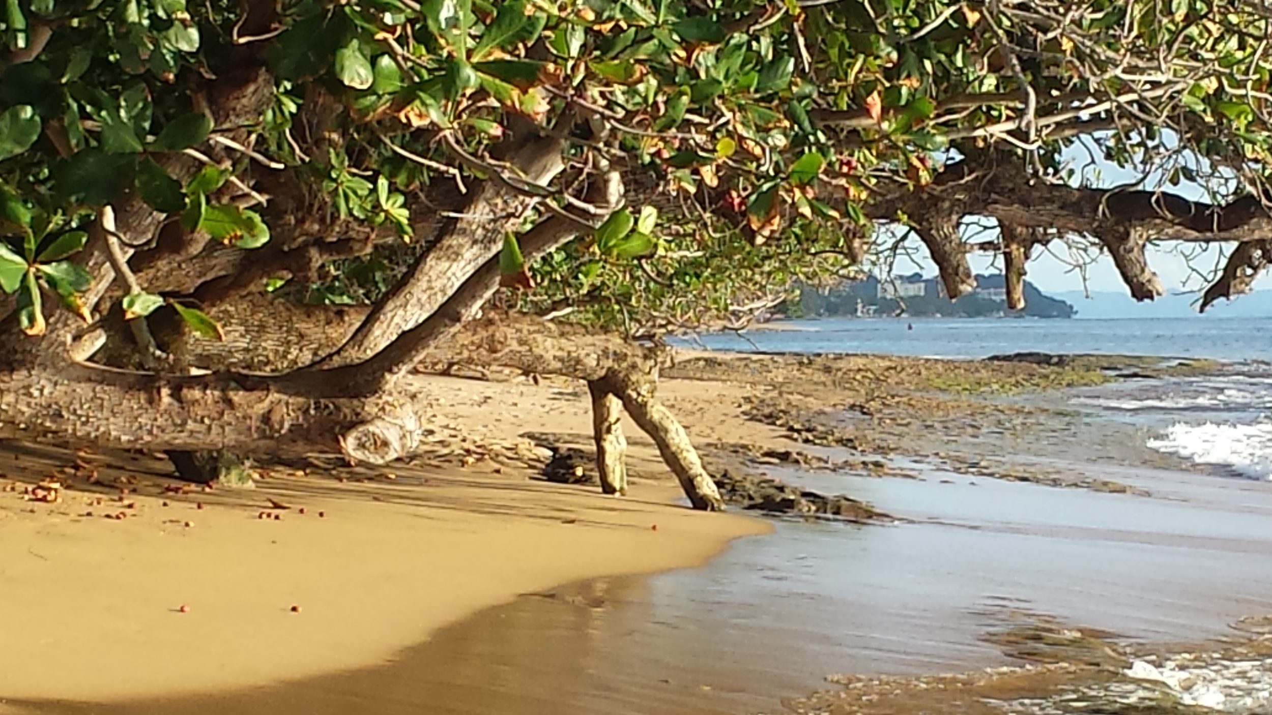 20141128_165244.jpg