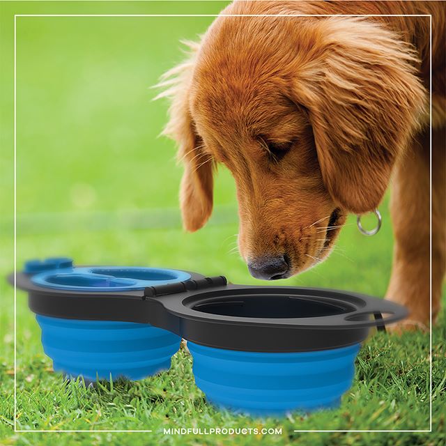 Our collapsible travel pet bowl is now available on our website! Perfect for road trips, camping, and hiking! Link in bio💡
