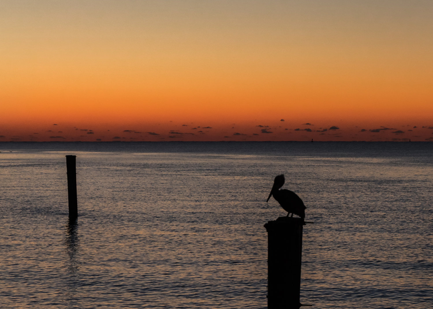 St.Simons Oct 3.jpg