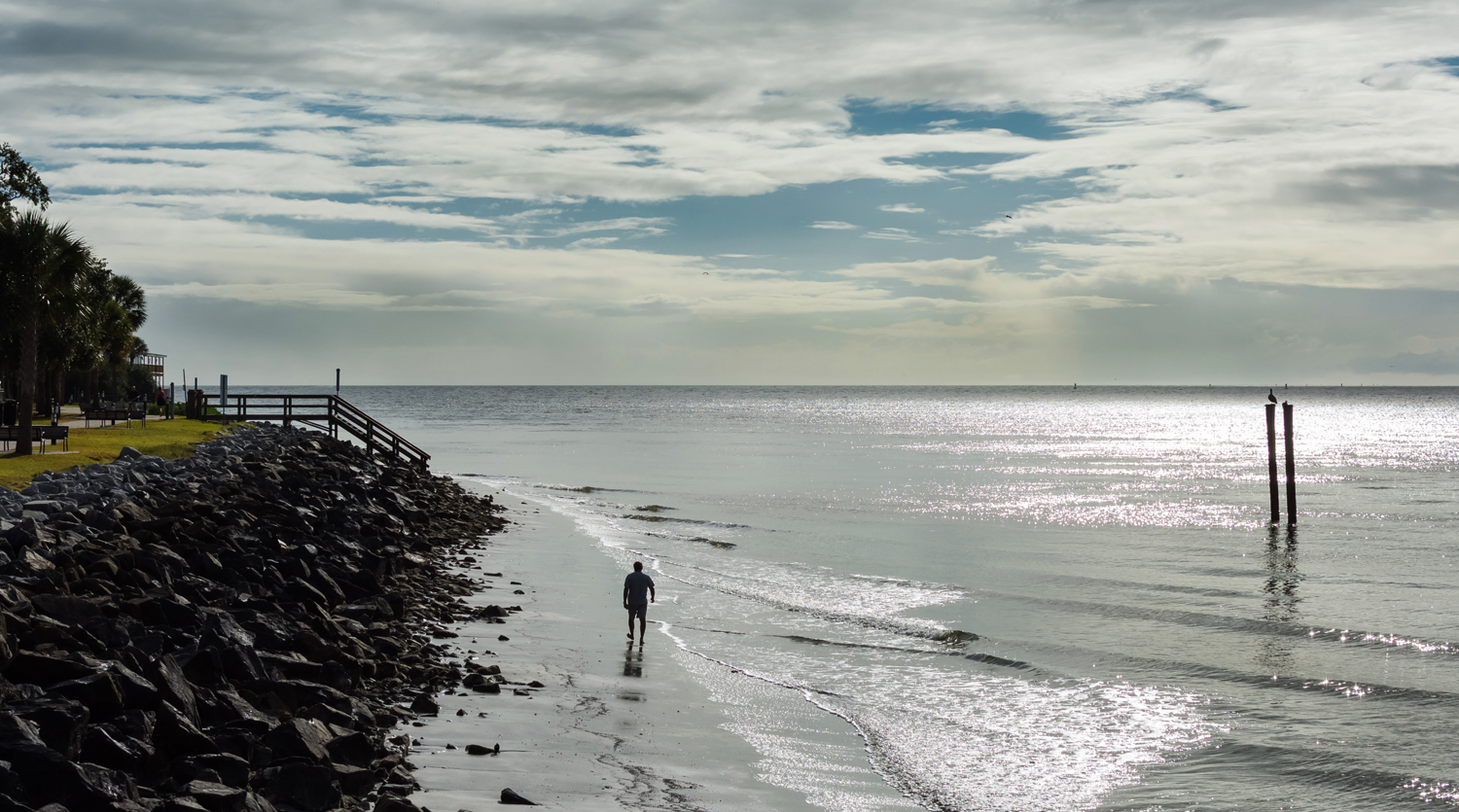 St.Simons Oct 2015 65.jpg