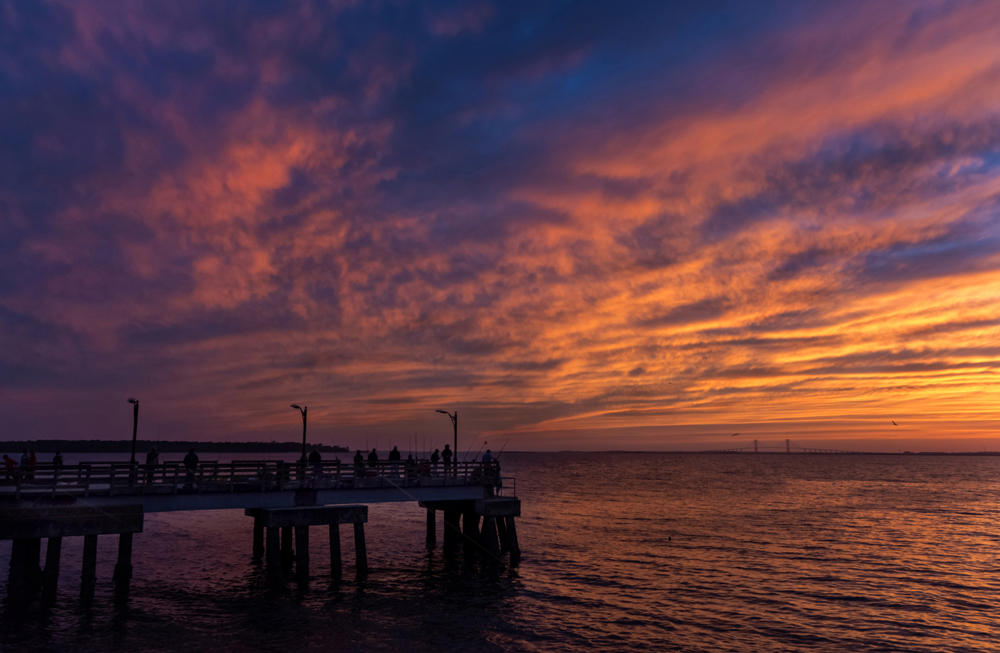 St.Simons Spring 2016 51A.jpg