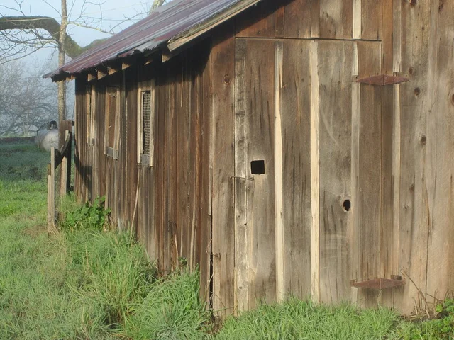 The old barn