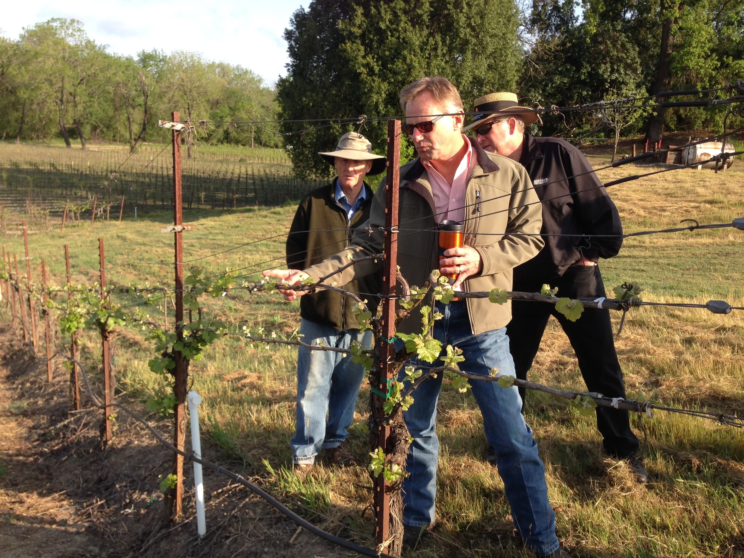 Randy Luginbill taking us on a tour of Mirabelle Vineyard