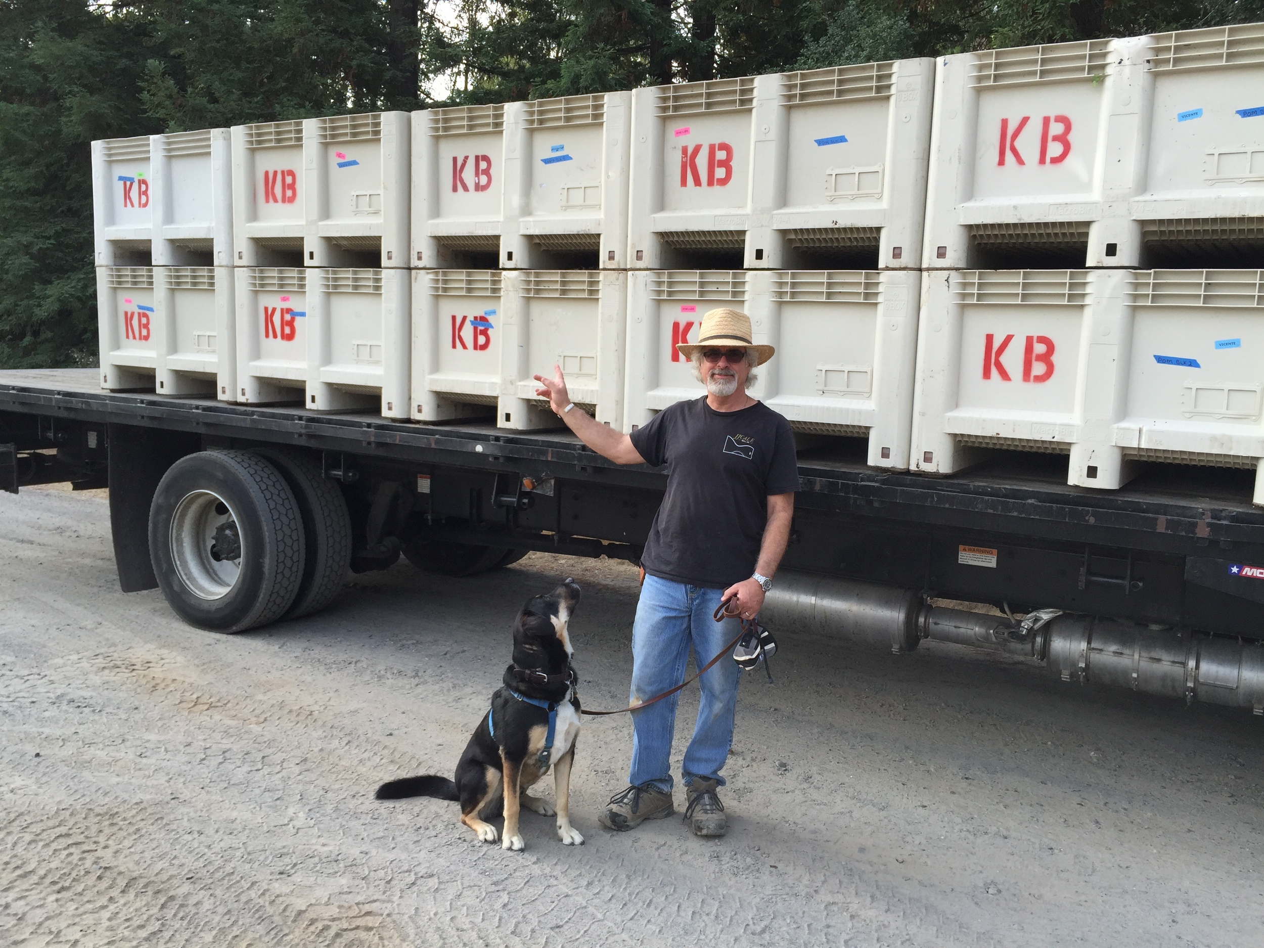 PostHarvest2015_GantzFamilyVineyards.jpeg
