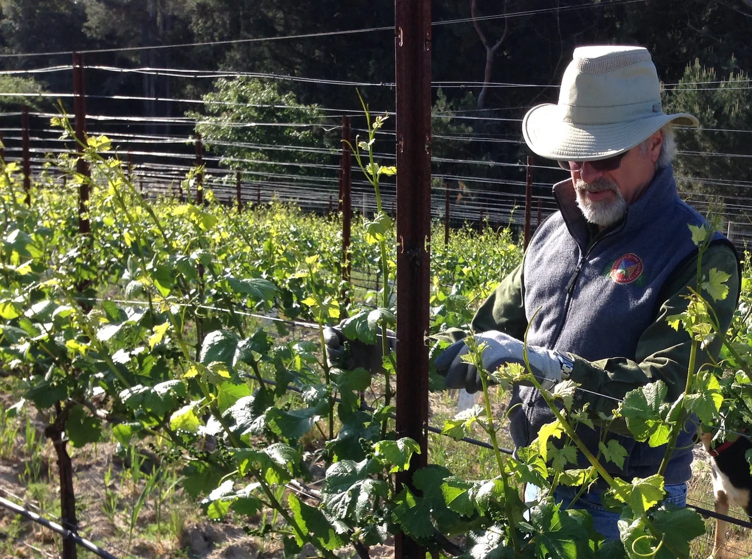 Clay Gantz Named President of the Russian River Valley Winegrowers