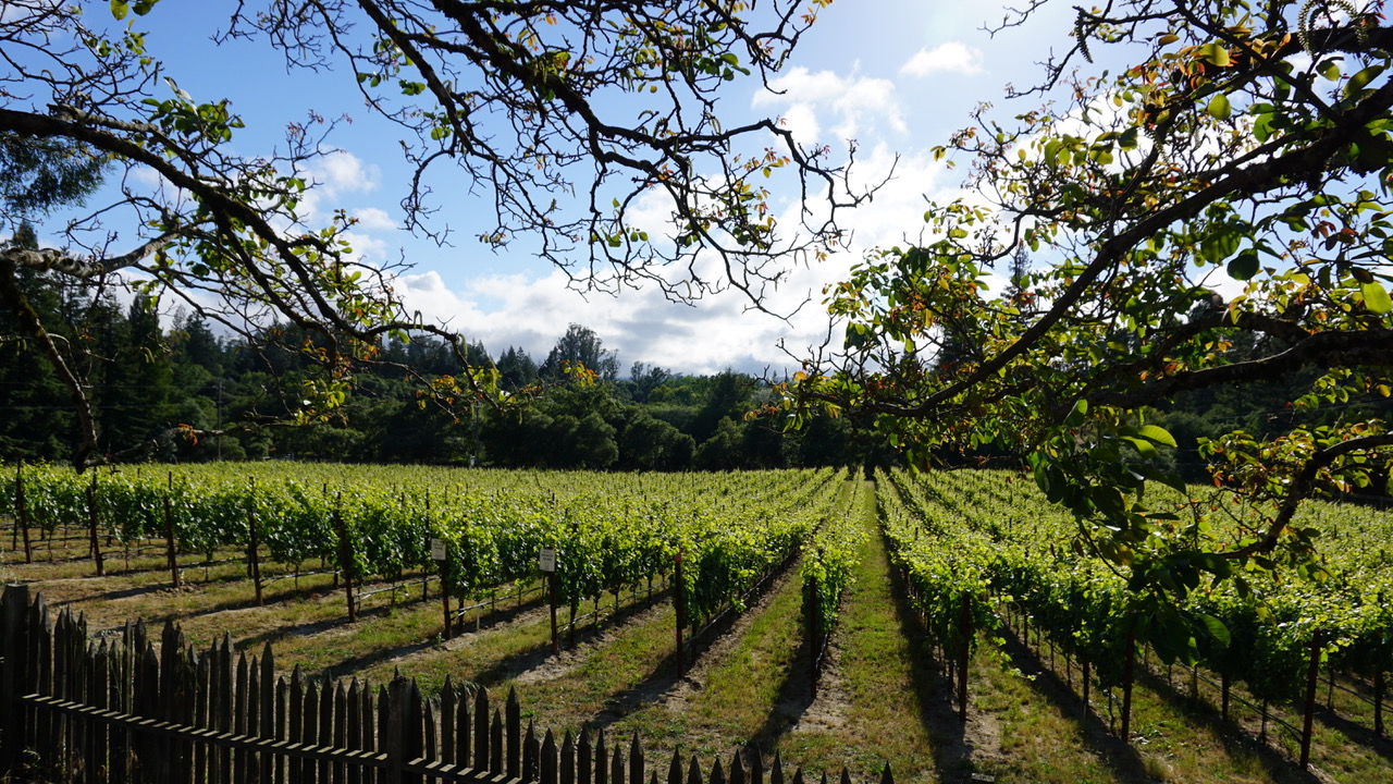 Gantz Family Vineyards