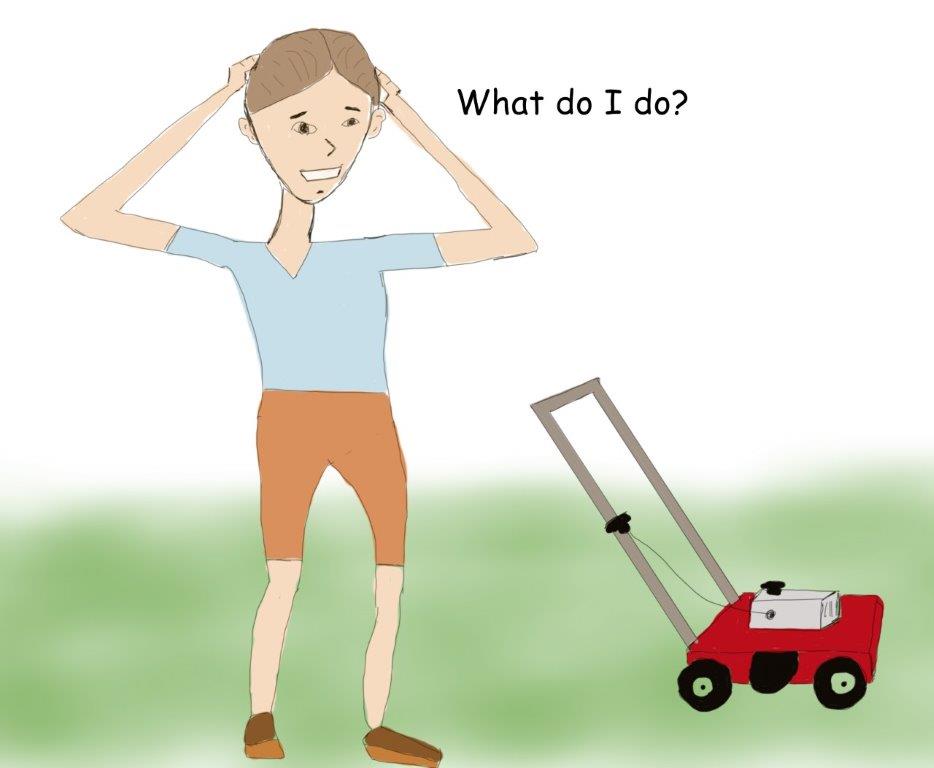 Grass Cutting Height Dilemma Cropped Small.jpg