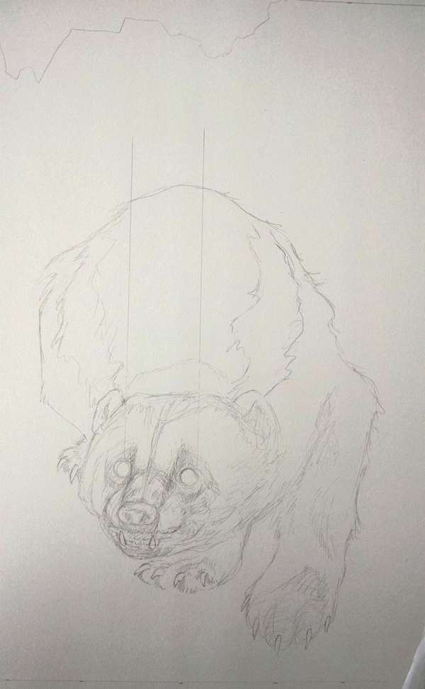 The underdrawing is possibly the most important stage - it is the very important guide for my paintbrush and pencils. Beyond the drawing I also keep the original thumbnail and notes of textures and value close by while I work...lots of notes.