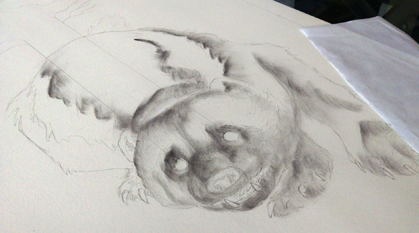 The first pass of powdered charcoal; this is my favorite stage - It feels like sculpting the form out of the paper.